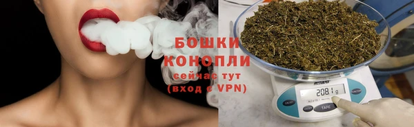 мяу мяу мука Бородино