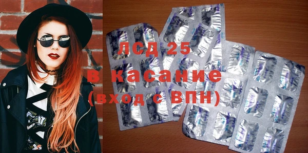 мяу мяу мука Бородино